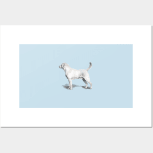 The Labrador Retriever Posters and Art